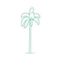 Plants Palms Foxtail Palm Stencil Svg Design File, Free Vectors File